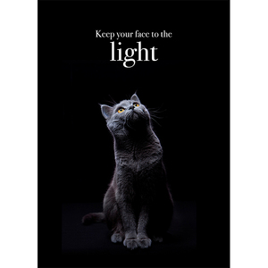 M126 - Keep Your Face To The Light - Animal Greeting Card
