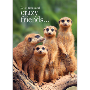 M088 - Good Times And Crazy Friends - Animal Greeting Card