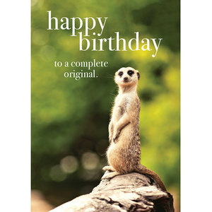 TM16 - Happy Birthday - Meerkat Mini Card