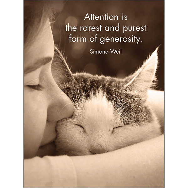 24 Animal Affirmation Cards + Stand - Top Cats | Affirmations Publishing  House
