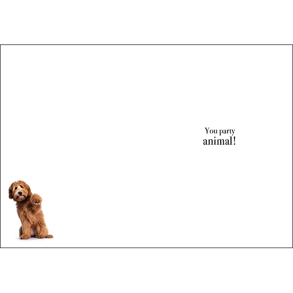 Dog Animal Birthday Card - Happy Birthday you party animal! | Affirmations  Publishing House