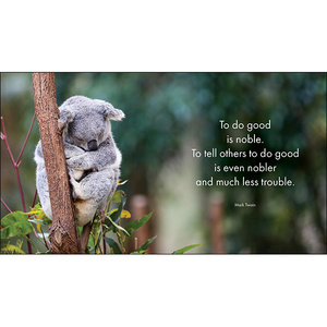Inspirational Quote Book - A Little Book of Koala Karma | Affirmations ...