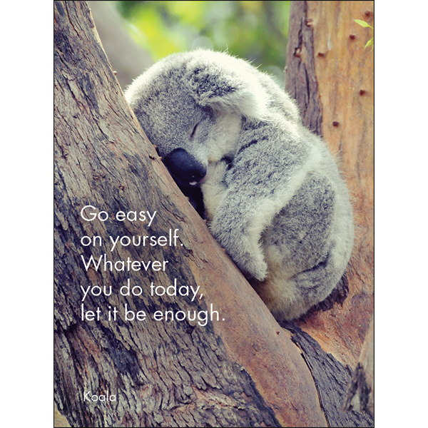 24 Animal Affirmation Cards + Stand - Awesome Aussies | Affirmations ...