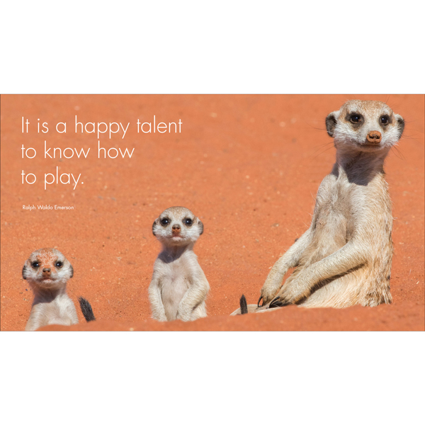 Inspirational Quote Book - A Little Book of Meerkat Magic | Affirmations  Publishing House