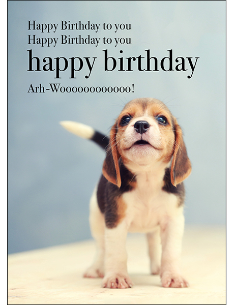 Dog Animal Birthday Card Happy Birthday Affirmations Publishing House