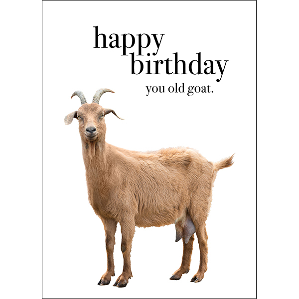 Goat Animal Birthday Card - Happy Birthday you old goat