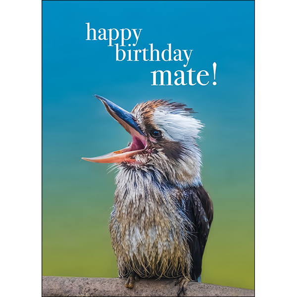 Kookaburra Animal Birthday Card - Happy Birthday mate | Affirmations  Publishing House