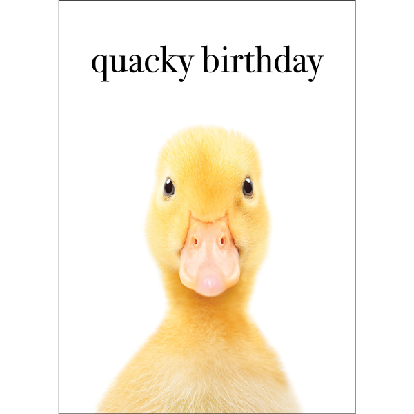 M145 - Quacky Birthday - Duck Greeting Card | Affirmations Publishing House