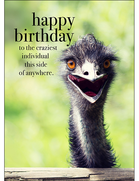 Emu Animal Birthday Card - Happy Birthday | Affirmations Publishing House Emu Animal Birthday Card - Happy Birthday | Affirmations Publishing House