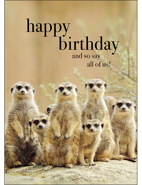 Meerkats Animal Birthday Card - And so say all of us | Affirmations ...