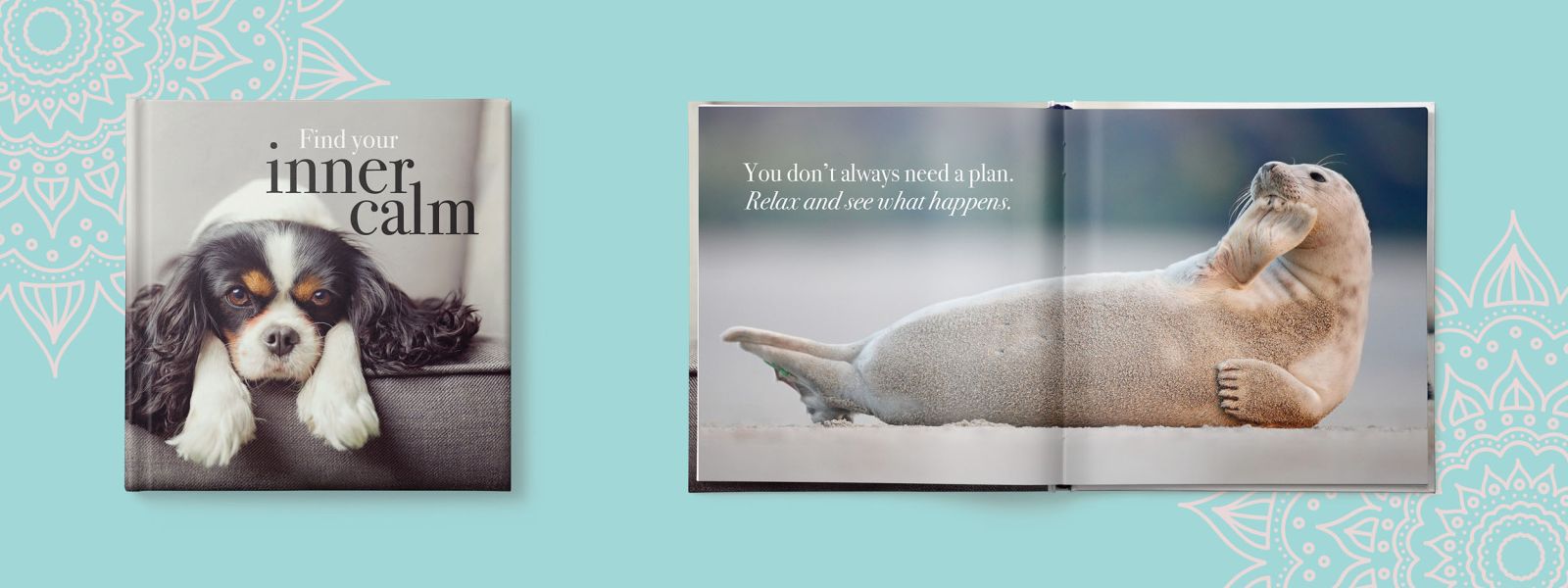 Find your inner calm book and a relaxing seal on an open spread, against a turquoise background