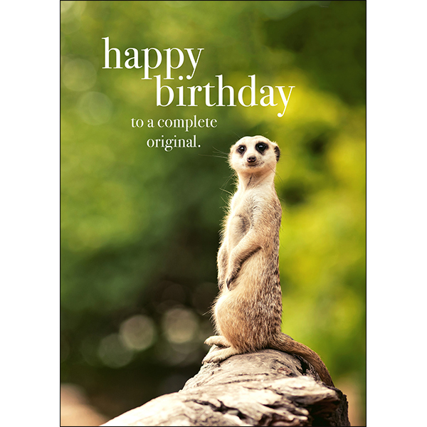 Meercat Birthday Card - Complete Original | Affirmations Publishing House