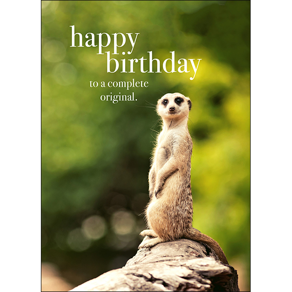 Complete Original Birthday Card