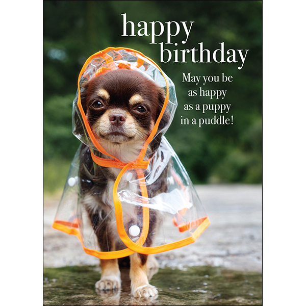 Puppy in a Raincoat Card