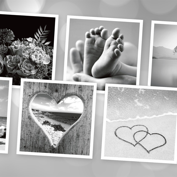 New Monochrome Cards