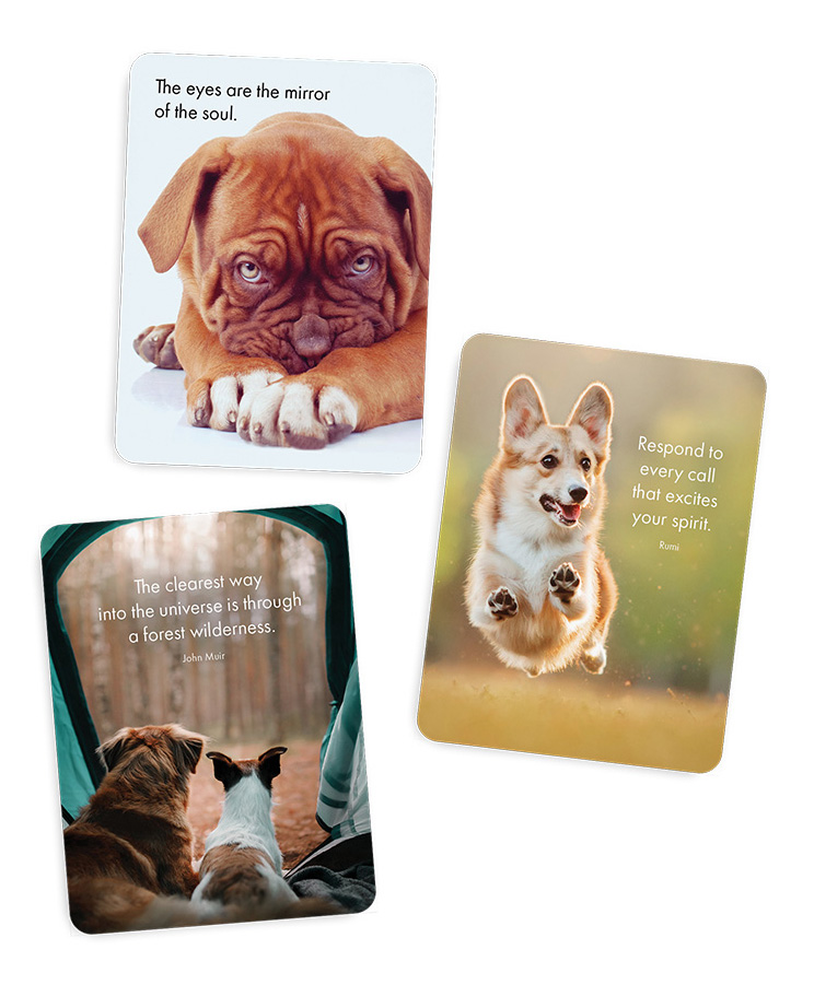 Three Barkology cards featuring dogs and uplifting quotations