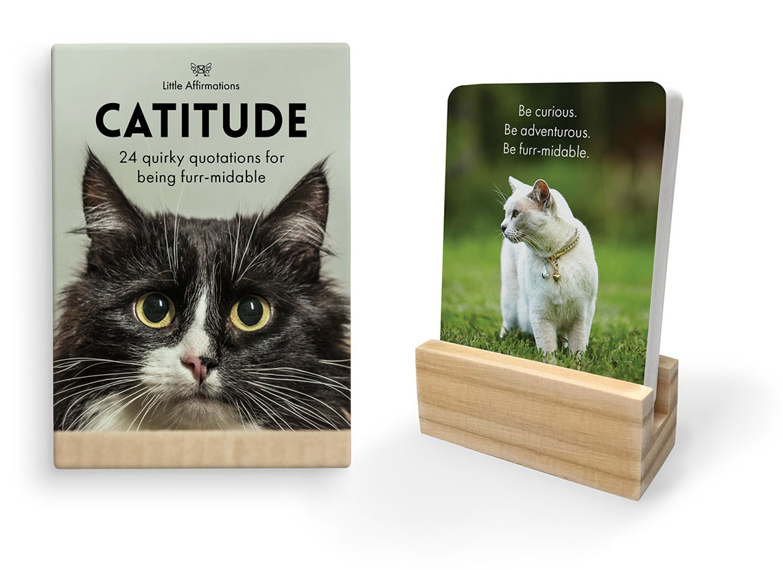 Catitude Little Affirmations pack and a cat quotation card in its wooden stand