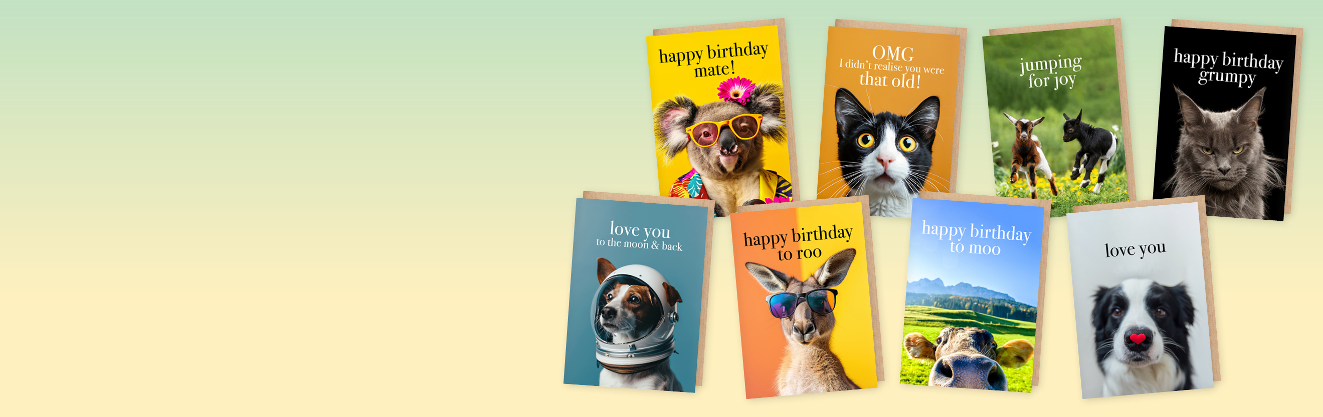 Animal M Cards 