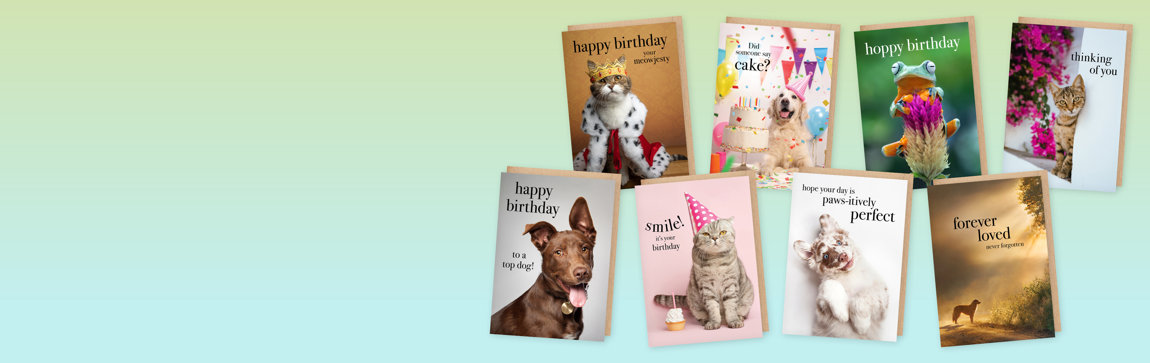 DOM033 - Animal Cards - M158 - M176