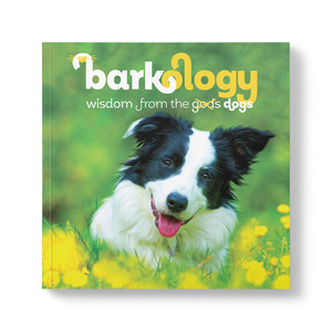 Barkology - Words From The Dogs