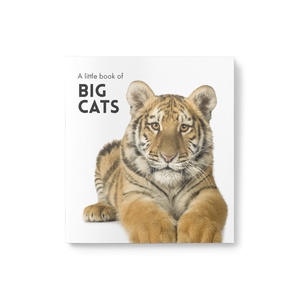 Little Book of Big Cats