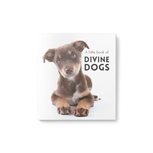 Little Book of Divine Dogs