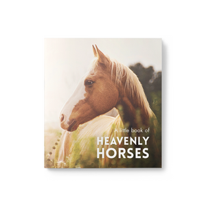 Little Book of Heavenly Horses