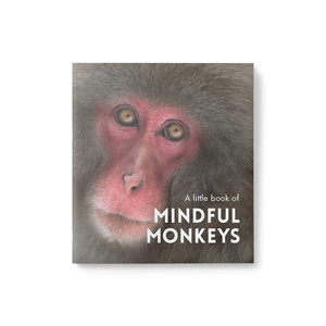 Little Book of Mindful Monkeys
