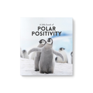 Little Book of Polar Positivity