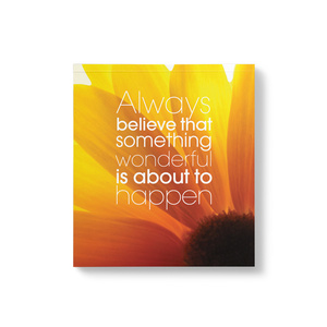 NPP02 - Always believe