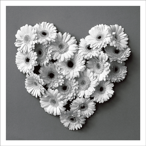 AGCP041 - Gerbera Flowers In The Shape Of A Heart - Photographic Card