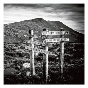 AGCP053 - Weathered Sign Posts At Mt Field National Park, Tasmania - Photographic Card