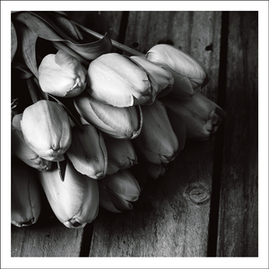 AGCP061 - Bunch Of Tulips - Photographic Card