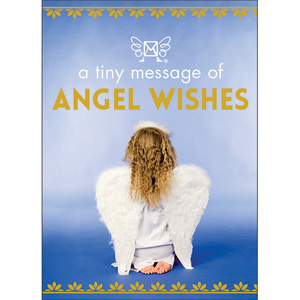 D07 - Angel Wishes