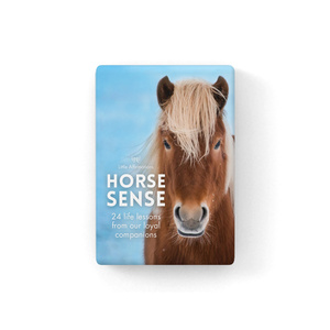 DHO - Horse Sense - 24 affirmation cards + stand