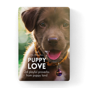 DPU - Puppy Love - 24 affirmation cards + stand