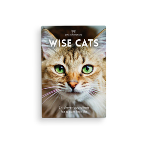 DWC - Wise Cats - 24 Animal affirmation cards + stand