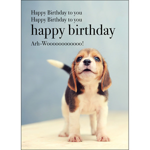 M01 - Happy Birthday - Animal greeting card