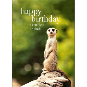 M005 - Happy Birthday - Animal Greeting Card