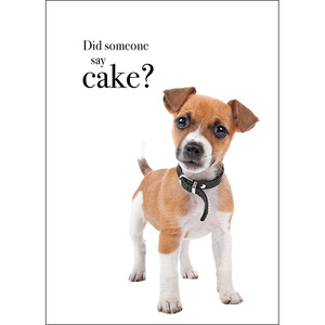 M006 - Happy Birthday - Animal Greeting Card