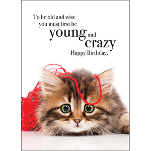 M008 - Happy Birthday - Animal Greeting Card