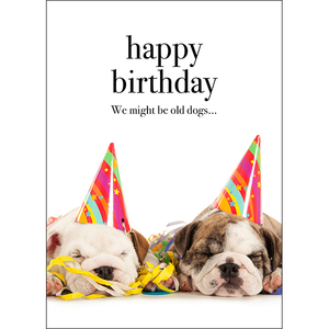 M113 - Happy Birthday We Might Be Old Dogs - Animal Greeting Card