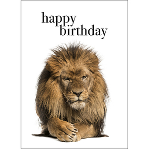 M116 - Happy Birthday - Animal Greeting Card