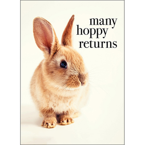 M120 - Many Hoppy Returns - Animal Greeting Card