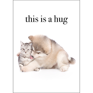 Greeting Cards Animal Greeting Cards Thinking of You* | Affirmations  Publishing House