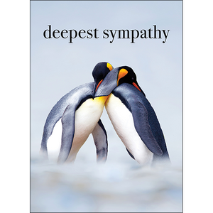 M127 - Deepest Sympathy - Animal Greeting Card