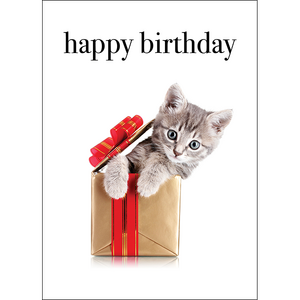 M129 - Happy Birthday - Kitten Greeting Card