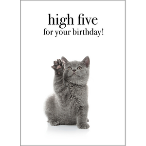 M130 - High Five For Your Birthday - Cat Greeting Card