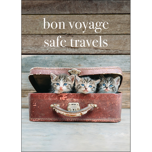 M133 - Bon Voyage, Safe Travels - Kitten Greeting Card