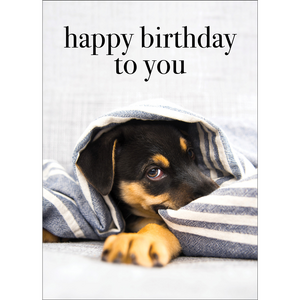 M142 - Happy Birthday To You - Dog Greeting Card